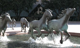 Mustangs at Las Colinas